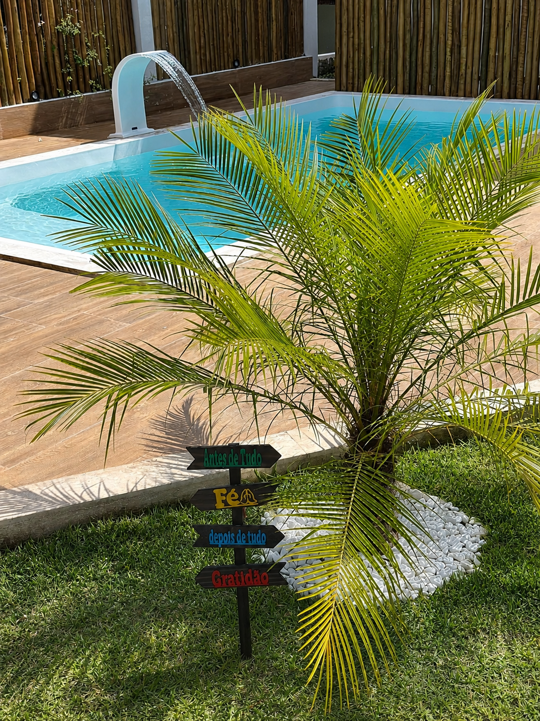 Piscina e jardim
